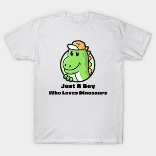 Just  A Boy Who Loves Dinosaur For Kids T-Shirt